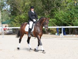 IMG_8026_web